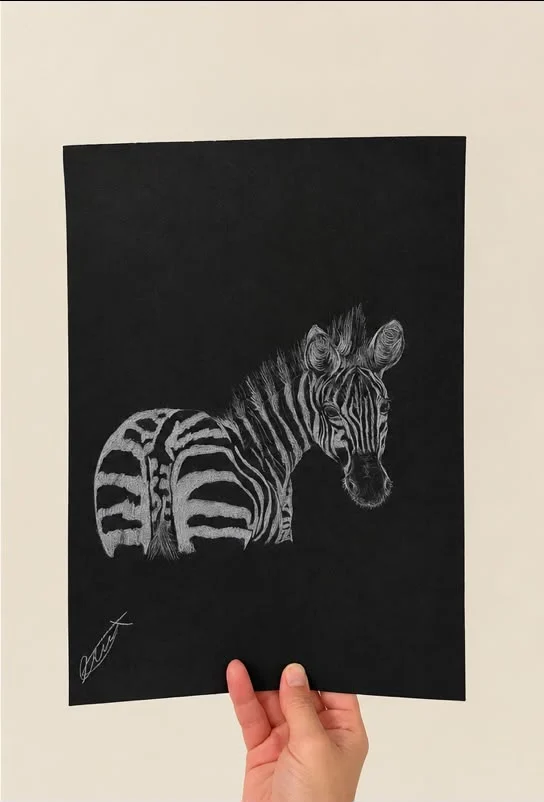 White pencil zebra drawings on black paper, one wearing blue glasses